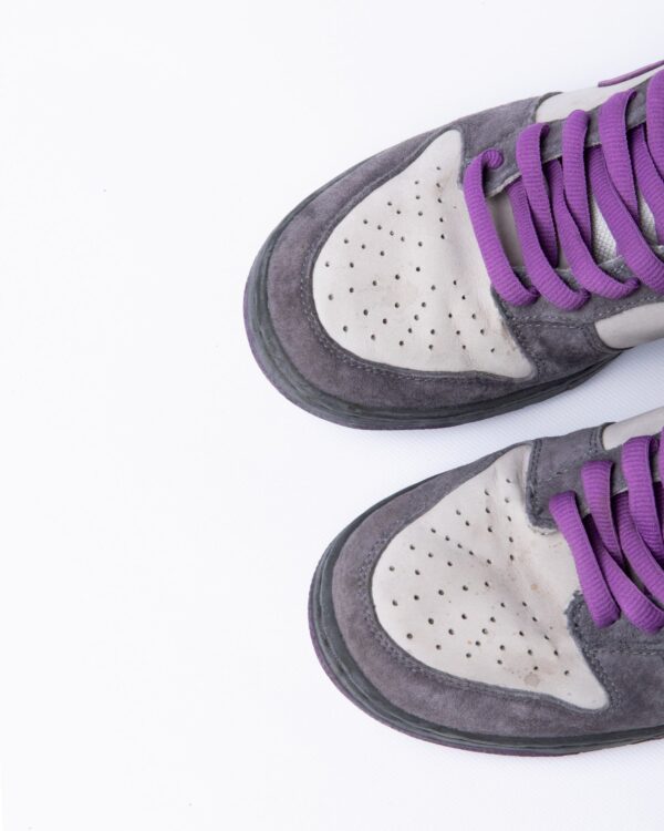 Branded Nike Dunk Low Purple Shoes