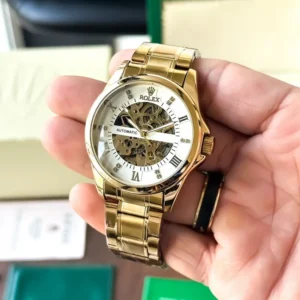 Buy Stylish Rolex Watch For Men (FT2259)