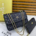 Luxurious Coach Handbag For Women (SW6126)