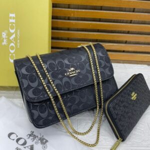 Luxurious Coach Handbag For Women (SW6126)