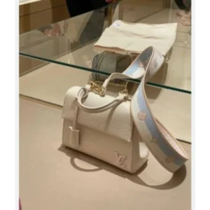 First Copy Louis Vuitton Cluny Mini Bag with Box (DW967)