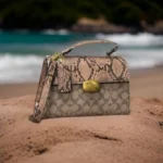 Premium Coach Handbag For Women (RF252)