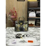 Superb Hermes Handbag for Women (CSO1267)