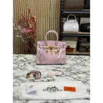 Superb Hermes Handbag for Women (CSO1271)