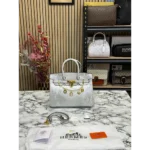 Superb Hermes Handbag for Women (CSO1270)