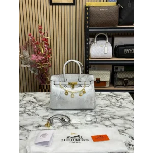 Superb Hermes Handbag for Women (CSO1270)