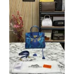 Superb Hermes Handbag for Women (CSO1269)
