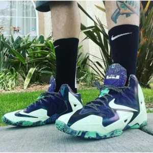 Classy Nike Air Lebron 11 Gator King Shoes for Men (SW4698)