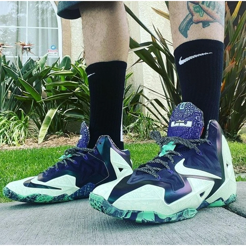 9-Nike-Air-lebron-11-gator-king-4700-1.webp