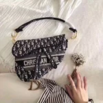 Imported Christian Dior Handbag for Women (SL3454)