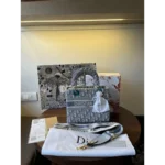 First Copy Christian Dior Handbag for Women (SL3432)