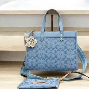 Premium Coach Handbag For Women (SW5314)