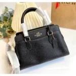 Luxurious Coach Handbag For Women (SW6751)