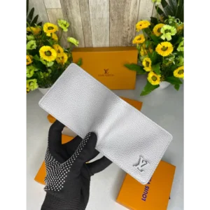 Trendy Louis Vuitton Wallet For Men (BT1864)