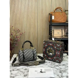 Premium Dior Handbag For Women (SW5322)