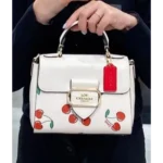 Premium Coach Handbag For Women (SW6816)