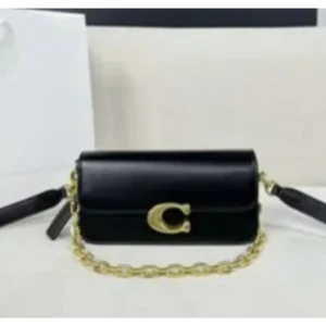 Luxurious Coach Handbag For Women (SW6771)