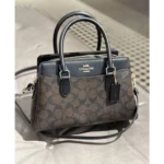 Luxurious Coach Handbag For Women (SW6753)