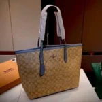 Luxurious Coach Handbag For Women (SW6773)