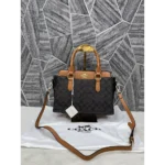 Luxurious Coach Handbag For Women (SW6754)