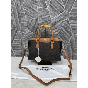 Luxurious Coach Handbag For Women (SW6754)