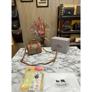 Premium Coach Handbag For Women (ADS27)