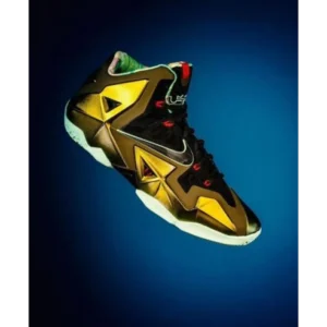 Classy Nike Lebron 11 King Pride 4f Shoes For Men (LL568)