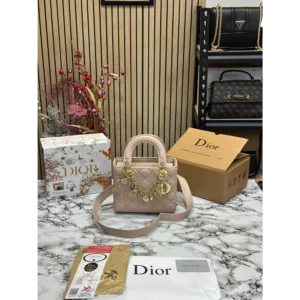 Luxurious Christian Dior Handbag For Women (SW6756)