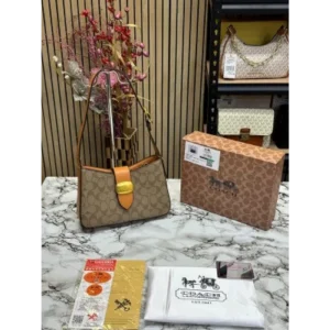 Premium Coach Handbag For Women (SW5361)