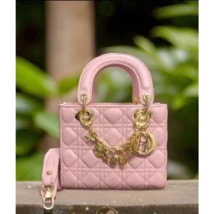 Premium Dior Handbag For Women (SW5319)