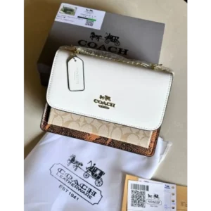 Premium Coach Handbag For Women (SW6879)