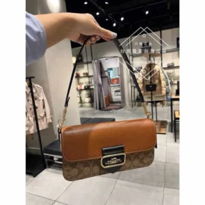First Copy Coach Handbag For Women (LUB149)