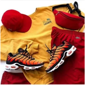 Stylish Nike Air Max Plus Shoes For Men (TS834)