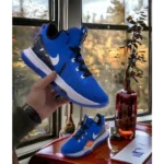 First Copy Lebron Witness V Shoes For Men (BSF1029)