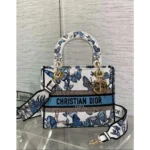First Copy Christian Dior Handbag For Women (FT2557)