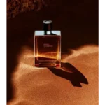 Hermes Paris Terre D Hermes EDT 100ML (SOS612)
