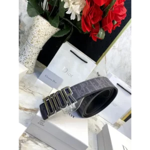 Stylish Dior Belt For Men (CLS171)