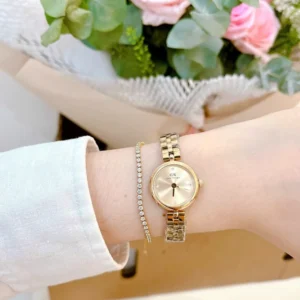 Classy Daniel Wellington Watch For Women (J2139)