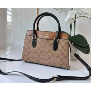 Premium Coach Handbag For Women (FT2560)