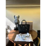 Classy Coach Handbag For Women (J1924)