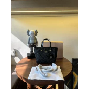 Classy Coach Handbag For Women (J1924)