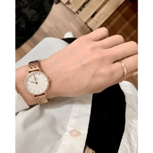 Classy Emporio Armani Watch For Women (BH1067)