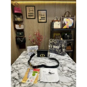 Imported Christian Dior Handbag (J2720)