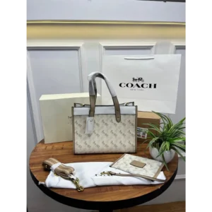 Stylish Coach Handbag For Women (SUP5273)