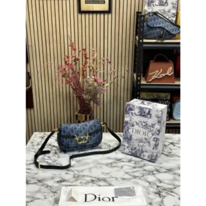 Stylish Christian Dior Handbag For Women (SUP5284)