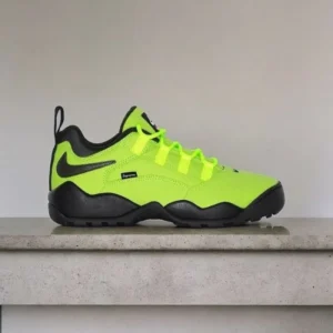 Premium Nike Sb Air Darwin Low Volt Shoes For Men (SW6290)