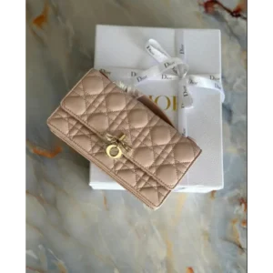 First Copy Christian Dior Handbag For Women (FT2569)