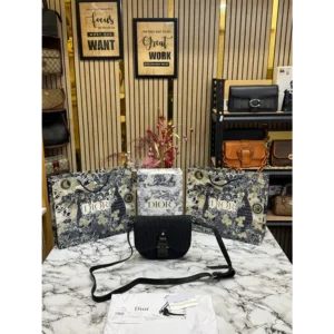 Trendy Dior Handbag For Women (FT2664)