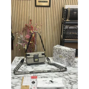 First Copy Christian Dior Handbag For Women (FT2552)