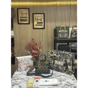 Stylish Dior Handbag For Women (SUP5217)